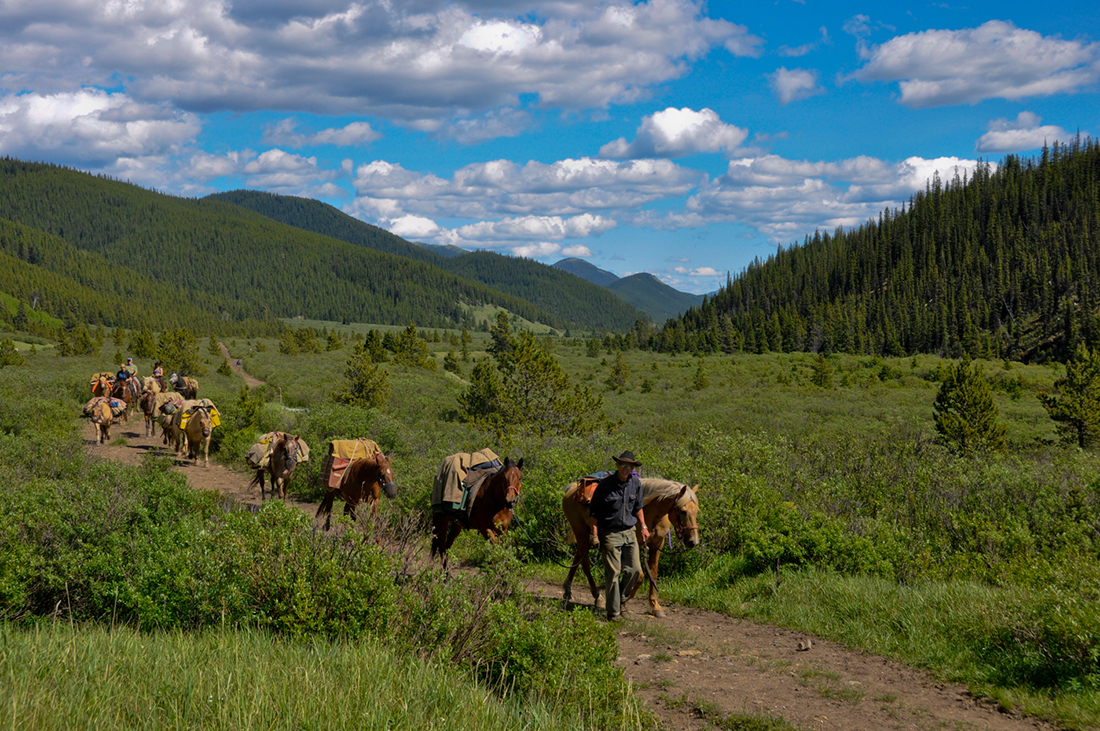 Willmore Wilderness Park, Rocky Mountains, Alberta, Canada